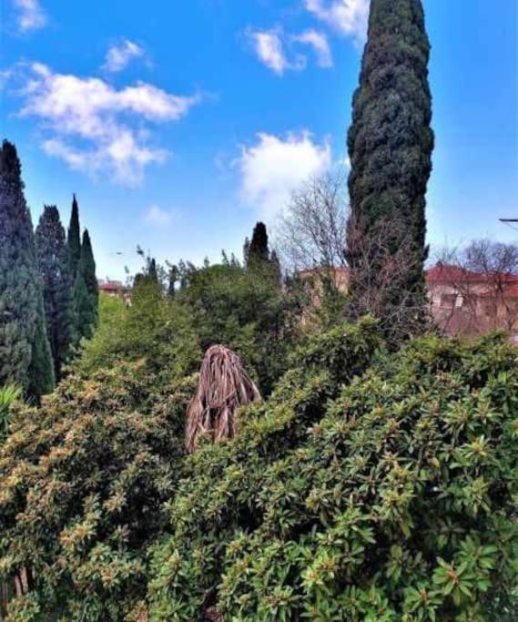 Апартаменты Casa Raffaello Careggi Флоренция Экстерьер фото